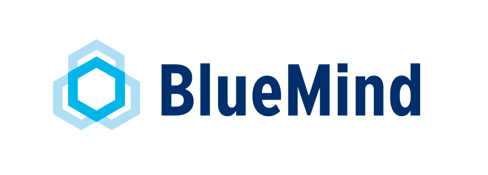 LogoBM_1000-Bleu